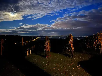 a view of a field with trees at night at Villa VINEYARD in Velika Nedelja
