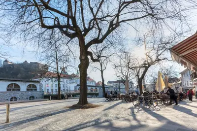 a group of people sitting at tables on a city street at Old Town first floor in Ljubljana