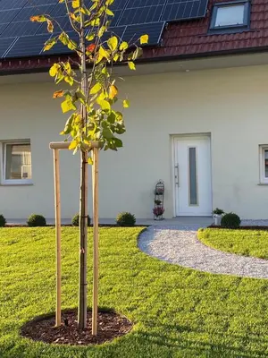 two trees in front of a house with solar panels at The View 22 in Cerklje na Gorenjskem