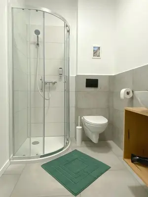 a bathroom with a shower and a green rug at The View 22 in Cerklje na Gorenjskem