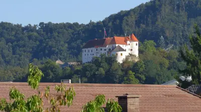 a castle on top of a hill with trees at Apartma AJDA in Velenje