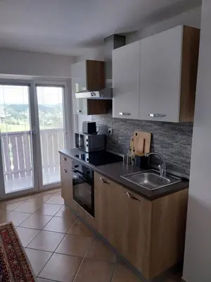 a kitchen with a sink and a stove top oven at Apartments at Klemen in Zgornje Gorje