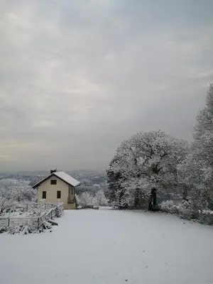 a snow covered field with a house and a tree at Apartma Hiša na Ravnah with hot tub in Pišece