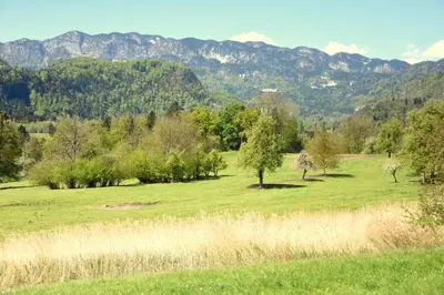 a green field with trees and mountains in the background at Nature Hotel Lukanc in Bled