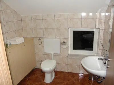 a bathroom with a toilet and a sink at Hotel and Restaurant Ana in Hrib-Loški Potok