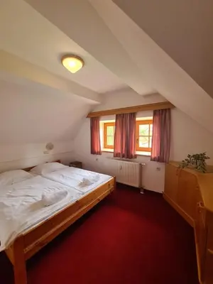 a bedroom with a large bed and two windows at Apartment Moravske Toplice in Moravske Toplice