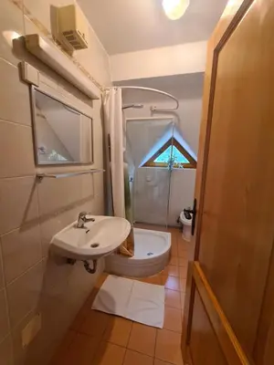 a bathroom with a sink and a toilet and a shower at Apartment Moravske Toplice in Moravske Toplice