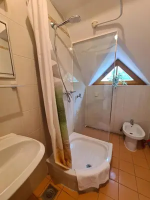 a bathroom with a shower and a toilet and a sink at Apartment Moravske Toplice in Moravske Toplice