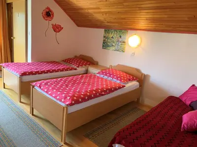 three beds in a room with red pillows on them at TURIZEM GRABRIJAN, Jasmina Grabrijan s.p. in Adlešiči