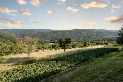 a field of crops with mountains in the background at Sunny Hill in Vremski Britof