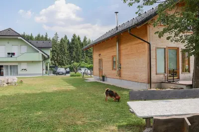 a dog standing in the yard next to a house at ABC Apartma Kočevsko in Kočevje