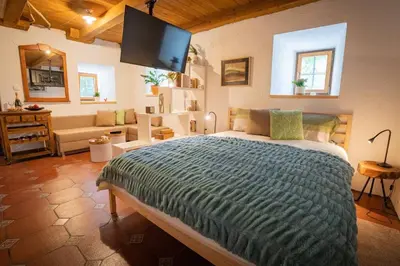 a bedroom with a bed and a living room at Studio Apartment Pr' Mirotu in Osilnica