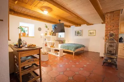 a bedroom with a bed and a stove in a room at Studio Apartment Pr' Mirotu in Osilnica