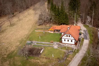 an aerial view of a house with a yard at Studio Apartment Pr' Mirotu in Osilnica