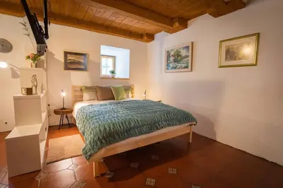 a bedroom with a bed with a green comforter at Studio Apartment Pr' Mirotu in Osilnica