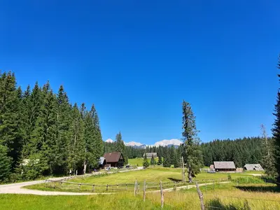 a field with a barn and trees and a road at BRINA Pokljuka in Zgornje Gorje