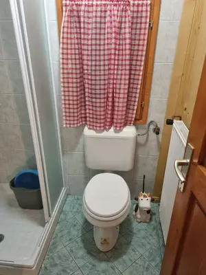 a bathroom with a toilet and a red shower curtain at BRINA Pokljuka in Zgornje Gorje