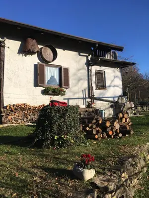 a house with a window and a pile of logs at Vilijev Raj, a property with cottage in the countryside in Avče