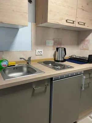 a kitchen counter with a sink and a dishwasher at Aspen Studio Apartment + FREE Parking in Ljubljana