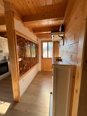 a kitchen in a log cabin with wooden walls at Hiška Erika - Wood House Erika in Šoštanj