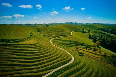 an aerial view of a dirt road in a field at Holiday house Podhamer Marijan in Ljutomer