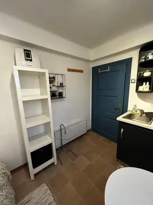 a kitchen with a blue door and a sink at Apartment Lan in Homec