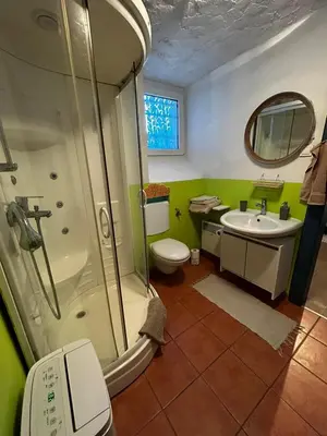 a bathroom with a shower and a toilet and a sink at Apartment Lan in Homec