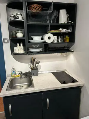 a kitchen with a sink and a counter top at Apartment Lan in Homec