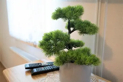 a green plant in a white vase next to two remote controls at Kmetija Podobnik in Idrija