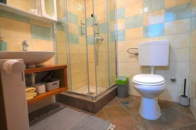 a bathroom with a toilet and a shower and a sink at Kmetija Podobnik in Idrija