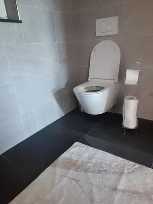 a bathroom with a white toilet in a room at Vila Frigo Olimia in Podplat