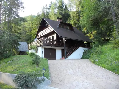 a house with a black roof and a driveway at Holiday Home Gobela in Kranjska Gora