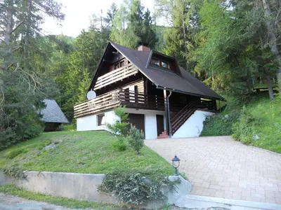 a house with a black roof and a driveway at Holiday Home Gobela in Kranjska Gora