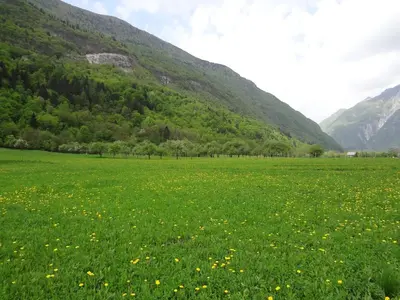 Gallery image of Apartment MT Bovec in Bovec