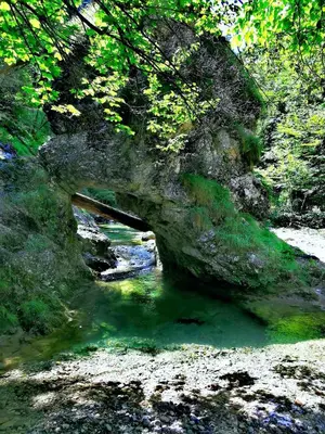 a stone bridge over a stream in a forest at Riverside Guesthouse in Ig