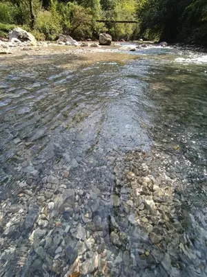 a clear river with rocks in the water at Riverside Guesthouse in Ig