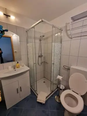 a bathroom with a shower and a toilet and a sink at Apartma Patricija for 2 in Tolmin