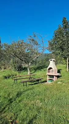 two picnic tables and a building in a field at Apartma Patricija for 2 in Tolmin