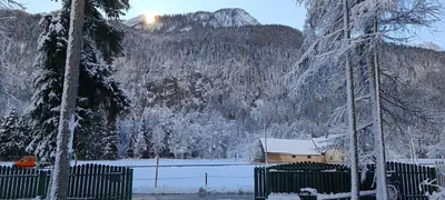 a house in a snow covered field with trees at House Apartma Čebela with jacuzzi in Gozd Martuljek