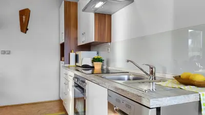 a kitchen with a sink and a counter top at Apartments Vinska Trta in Čatež ob Savi
