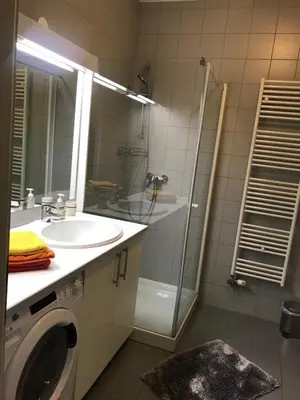 a bathroom with a sink and a washing machine at Apartment Lesnina in Kranjska Gora
