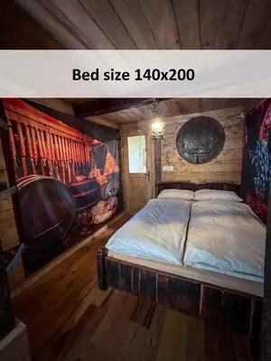 a bedroom with a bed in a room with a fireplace at Tiny House - Glamping Paradise Skatlar 45722 in Otočec