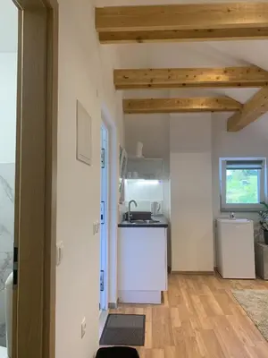 a kitchen with a sink and a counter top at Apartment Teja in Brezovec