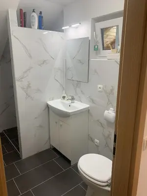 a white bathroom with a toilet and a sink at Apartment Teja in Brezovec
