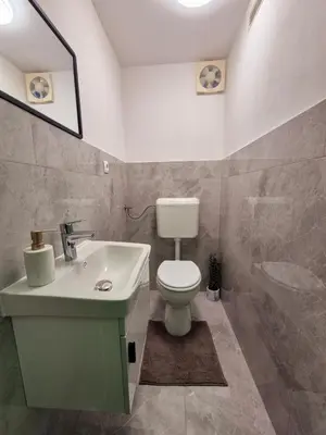 a bathroom with a white toilet and a sink at Apartment Teja in Brezovec