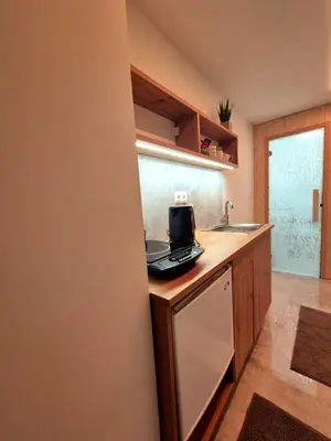 a kitchen with a sink and a stove top oven at Apartment Teja in Brezovec