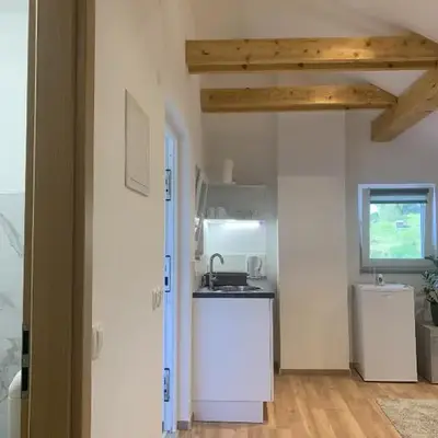 Apartment Teja