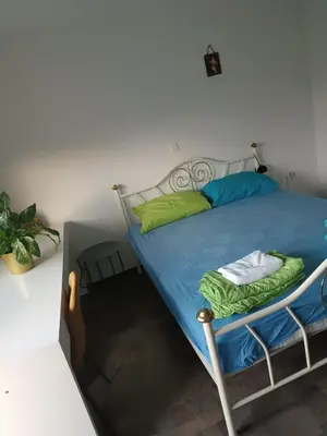 a bedroom with a bed with blue sheets and green pillows at Apartma Dobrodošli pri Renati v Celju in Celje