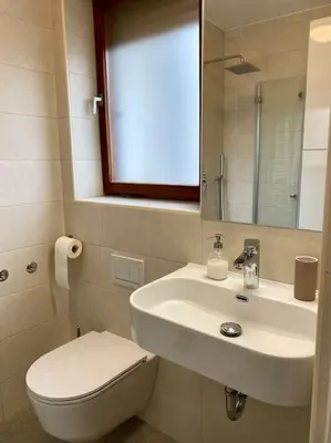 a bathroom with a sink and a toilet and a mirror at Spacious APT in a Quiet Neighbourhood + Private Parking in Ljubljana