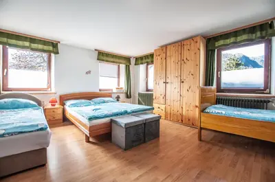 a bedroom with two beds and two windows at Hostel, Rooms and Apartment Ceklin in Bohinj